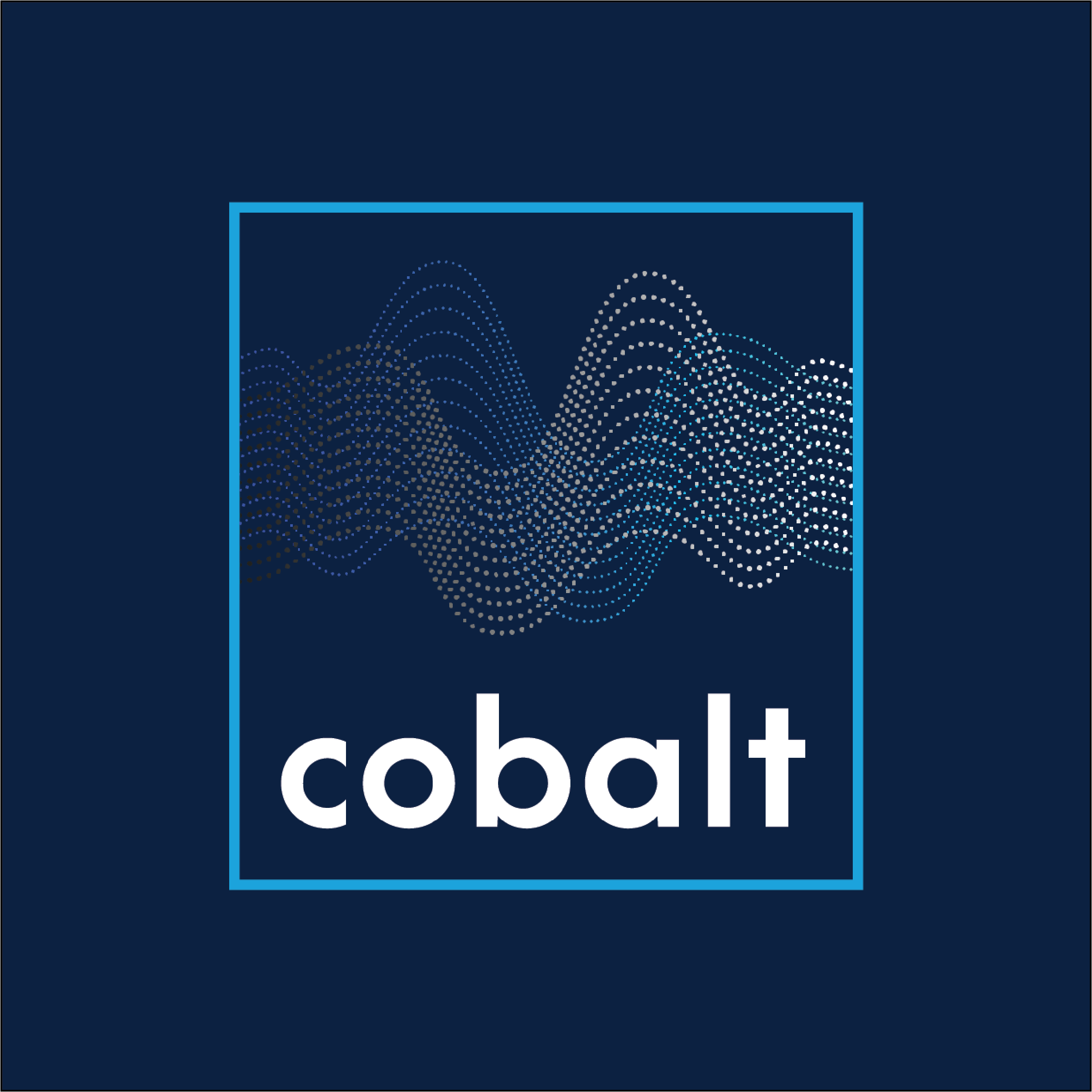 Cobalt Software, Inc